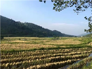 基地展示